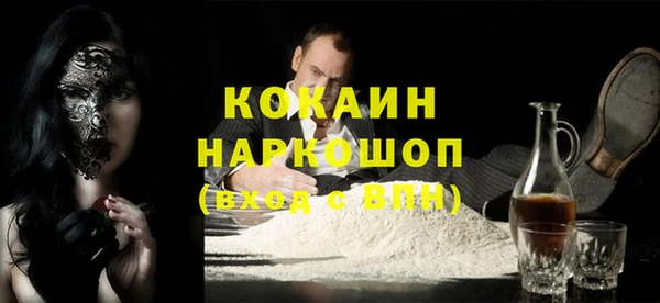 прущие грибы Гусев