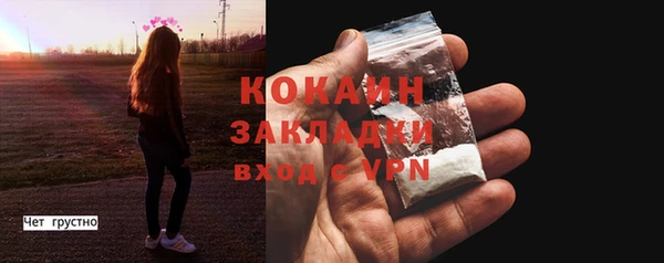 прущие грибы Гусев