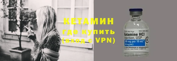 прущие грибы Гусев
