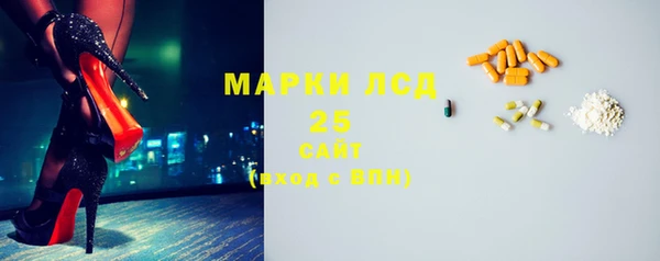 прущие грибы Гусев