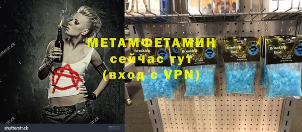 прущие грибы Гусев