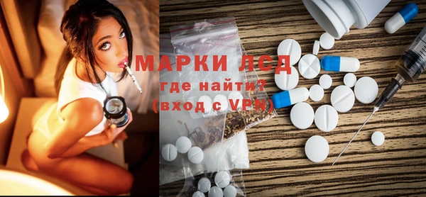 прущие грибы Гусев