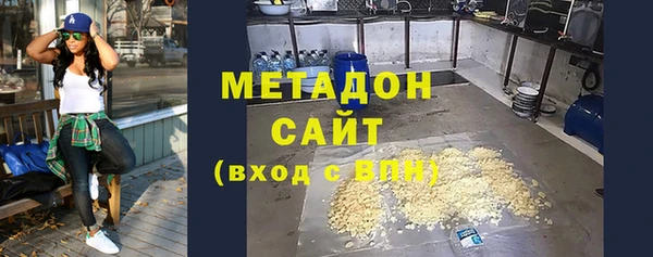 прущие грибы Гусев