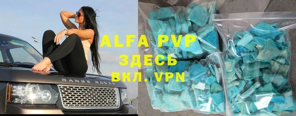 прущие грибы Гусев