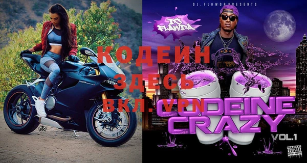 прущие грибы Гусев