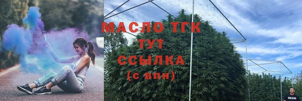 прущие грибы Гусев