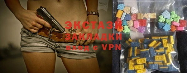 прущие грибы Гусев