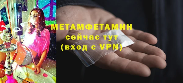 прущие грибы Гусев